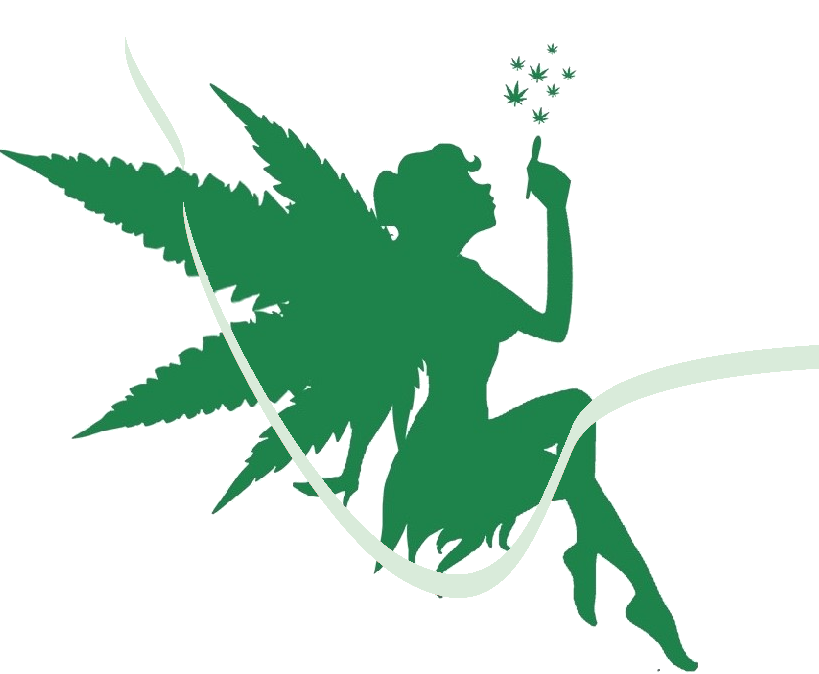 Two Girls working together